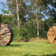 Two large wooden wheels in a field with trees