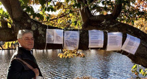 A person standing in the water near trees.