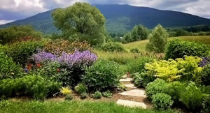 A garden with many plants and trees