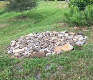 A pile of rocks in the grass near some bushes.