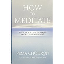 A book cover with the title how to meditate.