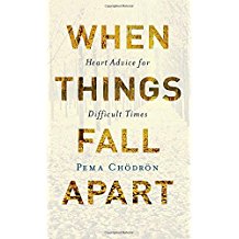 A book cover with the title of " when things fall apart ".