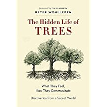 A book cover with trees and the title of it.