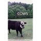 A black and white cow standing in the grass.