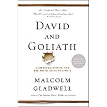 A book cover with the title of david and goliath.