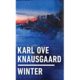 A book cover with the title of winter.