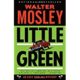 A book cover with the title of little green.