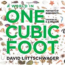 A world in one cubic foot