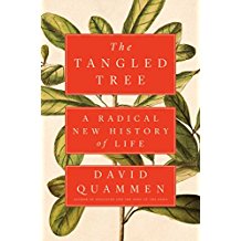 A book cover with leaves and the title of it.