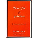 A book cover with the title beautiful and pointless.