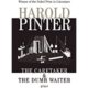 A book cover with the title of harold pinter 's novel.