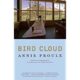 A book cover with the title bird cloud.