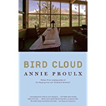 A book cover with the title bird cloud.