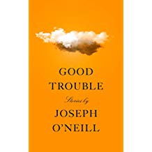 A book cover with an orange background and the title of the book.