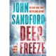 A book cover with the title of deep freeze.