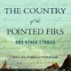 A book cover with the title of the country of pointed firs and other stories.