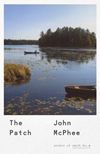 A boat in the water with trees and bushes