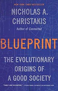 A book cover with the title of " blueprint ".