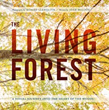 A book cover with trees and leaves in the background.