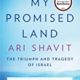 A book cover with the title of my promised land.