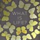 A circle of yellow leaves with the words " what is life ?" written in it.