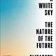 A white sky, the nature of the future