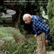 A man in plaid shirt looking at plants.