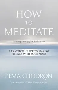 A book cover with the title how to meditate.