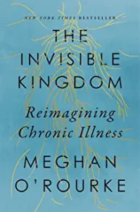 A book cover with the title of the invisible kingdom.