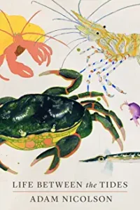 A painting of crabs and other sea creatures.