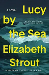 A book cover with the title of " lady by the sea."