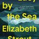 A book cover with the title of " suzy by the sea."