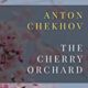 A book cover with the title of anton chekhov 's novel.