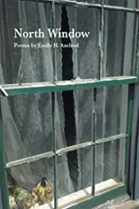 A green metal door with some type of window.