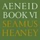 A green background with the words aeneid book vi seamus heaney.