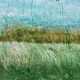 A painting of grass and water in the background.