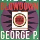 A book cover with the title of " the big blowdown."