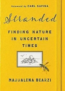 A book cover with an image of a person and the words " stranded."