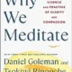 A book cover with the title of why we meditate.