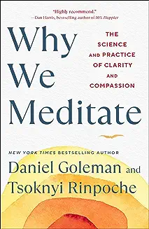 A book cover with the title of why we meditate.