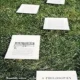 A group of papers in the grass with writing on them.