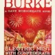 A book cover with fireworks and the title of the novel.