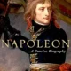 A painting of napoleon bonaparte holding his sword.