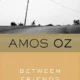 A book cover with the title of amos oz 's " between friends ".