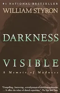 A book cover with the title of darkness visible.