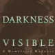 A book cover with the title of darkness visible.